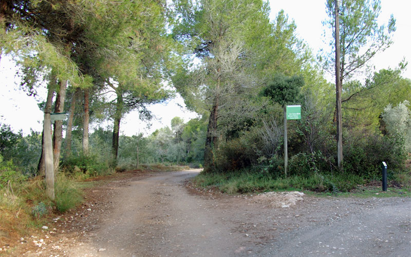 Cruce de caminos
