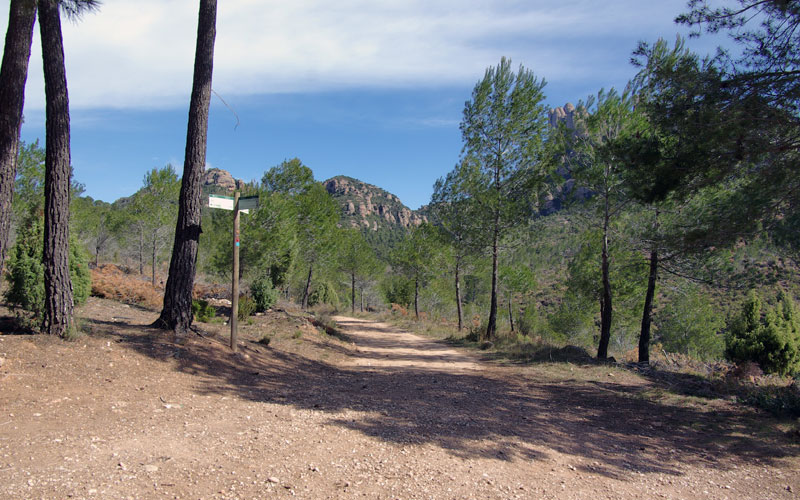Cruce de caminos