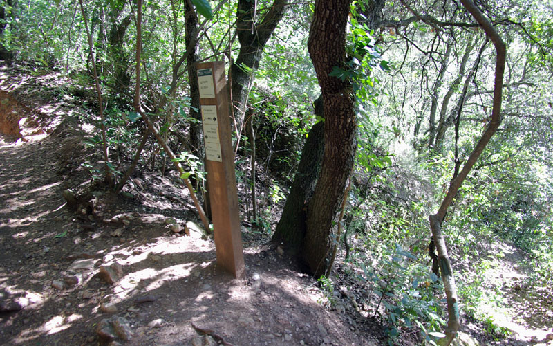 Cruce de caminos